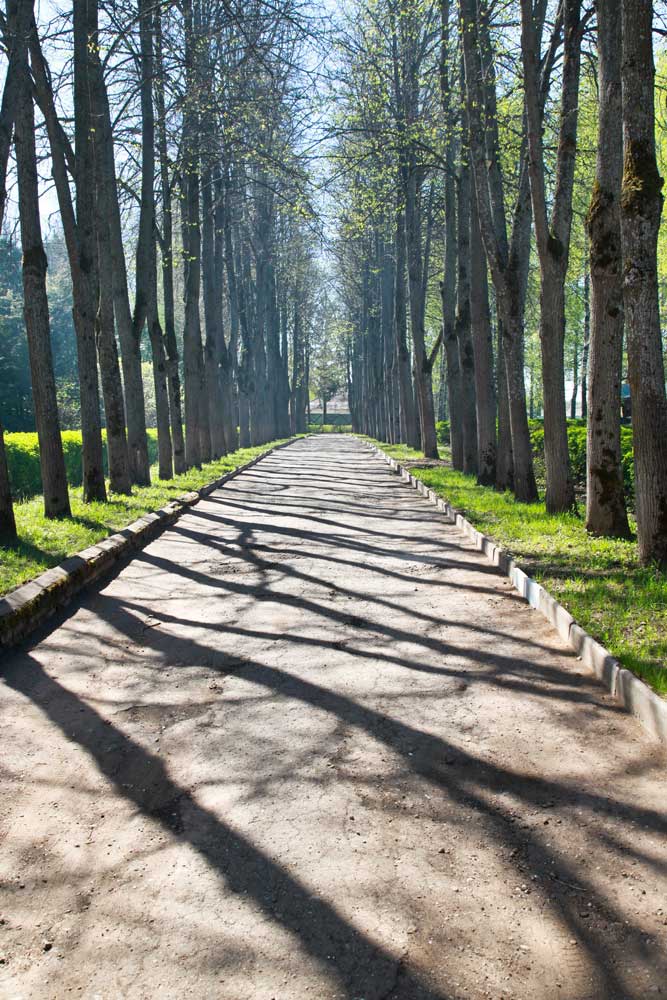 Абрамцево парк отель