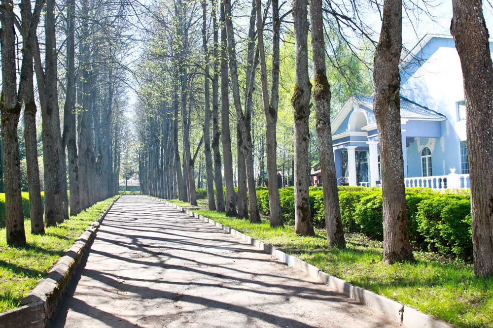 Абрамцево парк отель