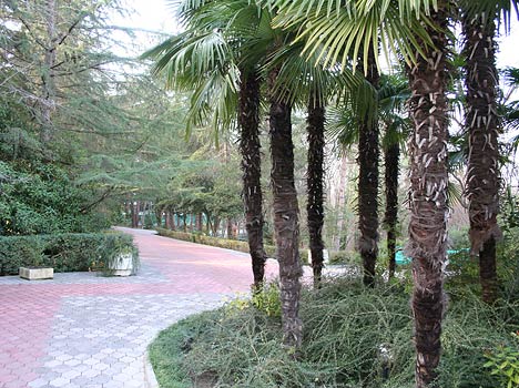 «Беларусь» санаторий Сочи