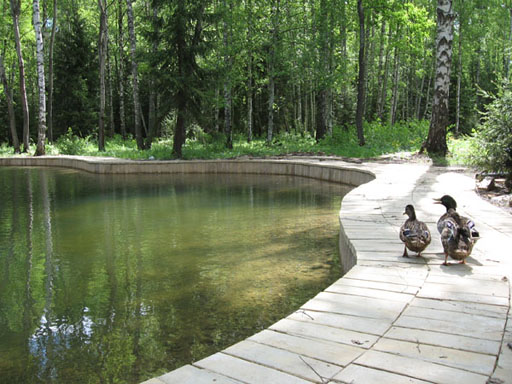 Территория