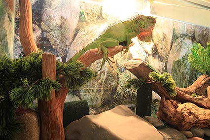 Дельмонт отель