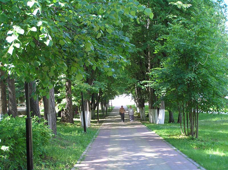 Территория