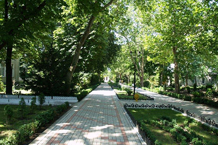 Территория