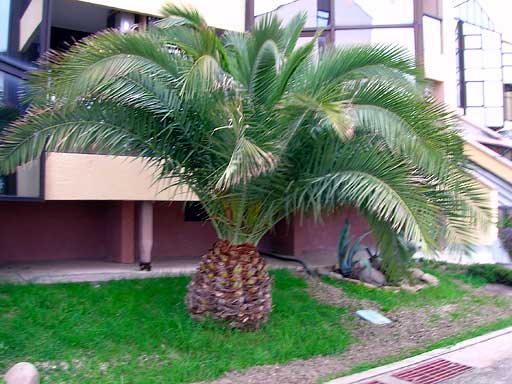 Территория