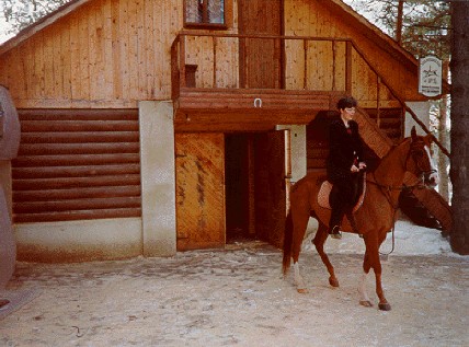 Конные прогулки