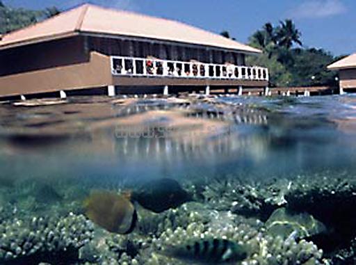 Отель Embudu Village 3 *