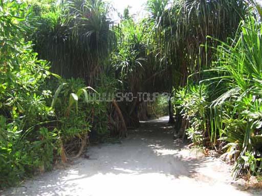 Дорожки в отеле