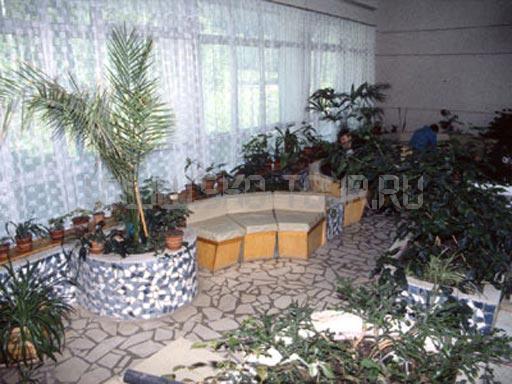 Зимний сад