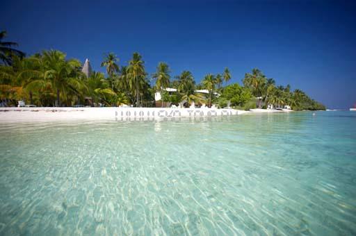 Отель Club Faru 4 *