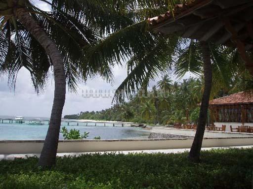 Отель Club Faru 4 *