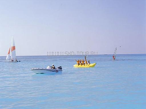 Водные виды спорта