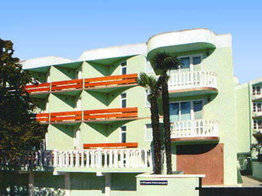 Внешний вид